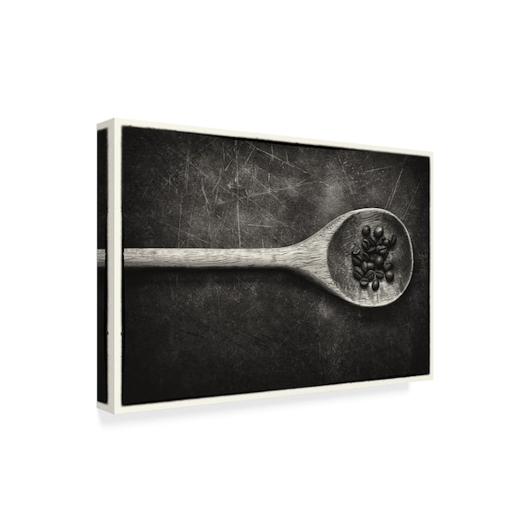 Claude Laramee 'Wooden Spoon' Canvas Art,16x24